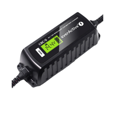 6V_12V_everActive_Chargers